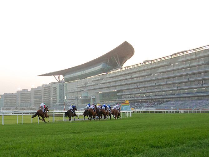 Racing at Meydan 2015-2016 (Day 8)