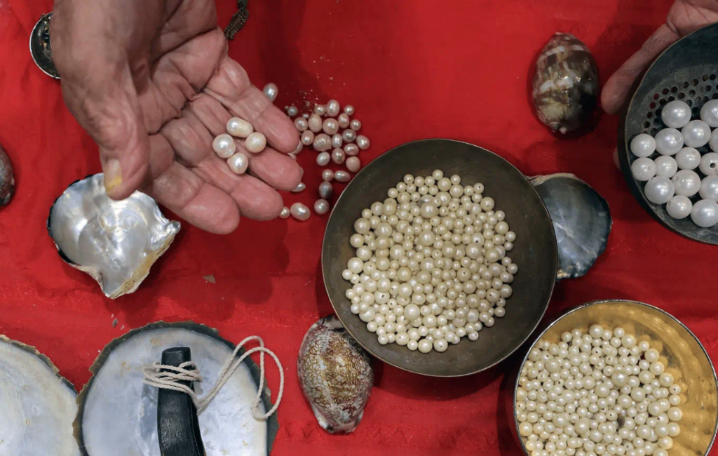 Sharjah Pearls Exhibition 2026