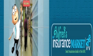 Car insurance companies in Dubai | Alfred insurance market Dubai, UAE
