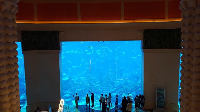 Atlantis, The Palm Hotel Dubai Aquarium Area