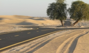 Cycle Track in Dubai - Al Qudra Road Cycle Path in Dubai, UAE