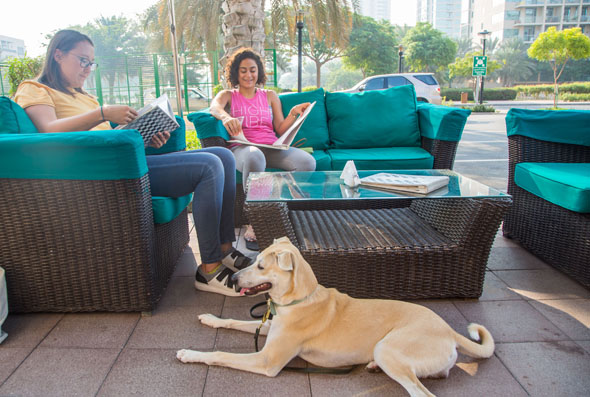 10 Pet Friendly Restaurants In Dubai, United Arab Emirates