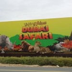 dubai-safari-zoo