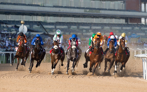 Dubai World Cup Carnival