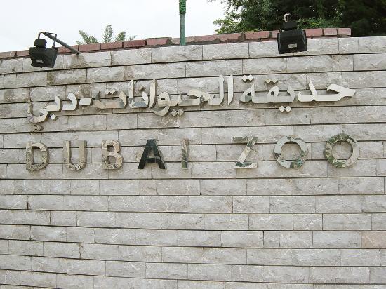 Dubai Zoo, UAE | Places to Visit in Dubai