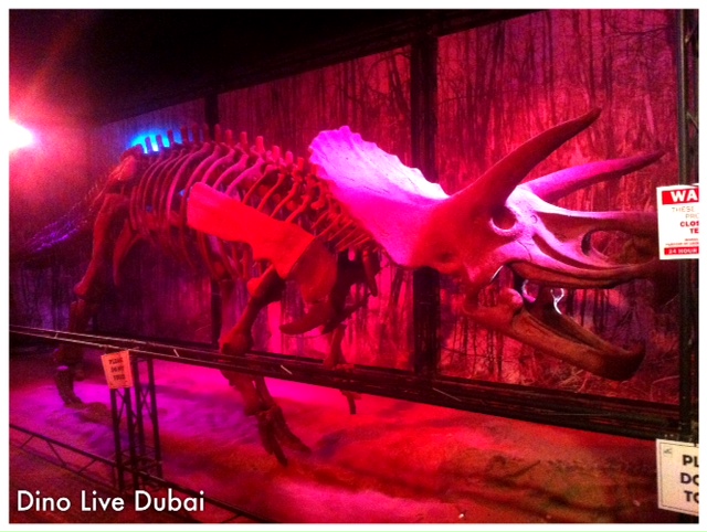 Dino Live Dubai
