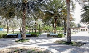 Safa park 2 in Dubai