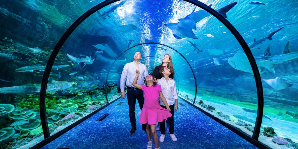 The National Aquarium Abu Dhabi Details - Largest Aquarium in the Middle East