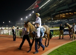 Meydan Race Nights 2014 – Dubai