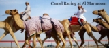 Al Marmoom Camel Race Dubai 2023