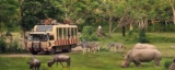 Dubai Safari Park Ticket Price 2023 Offers