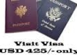 Dubai Visa Services – visitdubaishoppingfestival.com