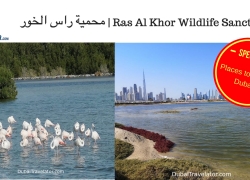 Ras Al Khor Wildlife Sanctuary Dubai | محمية راس الخور