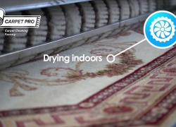Carpet Pro Wash – Professional Carpet Cleaning in UAE