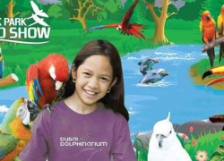 Creek Park Exotic Bird Show – Place to visit in Dubai, UAE