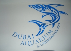 Dubai Aquarium & Underwater Zoo, Dubai Mall