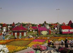 Dubai Miracle Garden – Places to Visit in Dubai