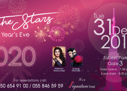New Year’s Eve Under the Stars at Zabeel Park Dubai
