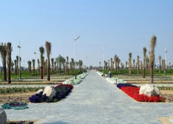 The Palm Oasis Park Dubai – Places to Visit in Dubai