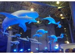 Sharjah Aquarium – Neighbourhood places in Dubai, UAE.