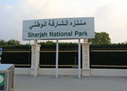 Sharjah National Park – Places to Visit in Sharjah, United Arab Emirates