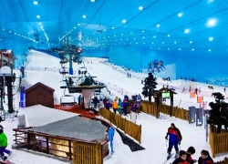 Ski Dubai at Mall of the Emirates