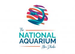 The National Aquarium Abu Dhabi – Largest Aquarium in the Middle East