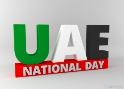 UAE National Day 2014 Dubai