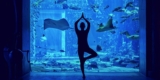 Underwater Yoga at The Lost Chambers Aquarium