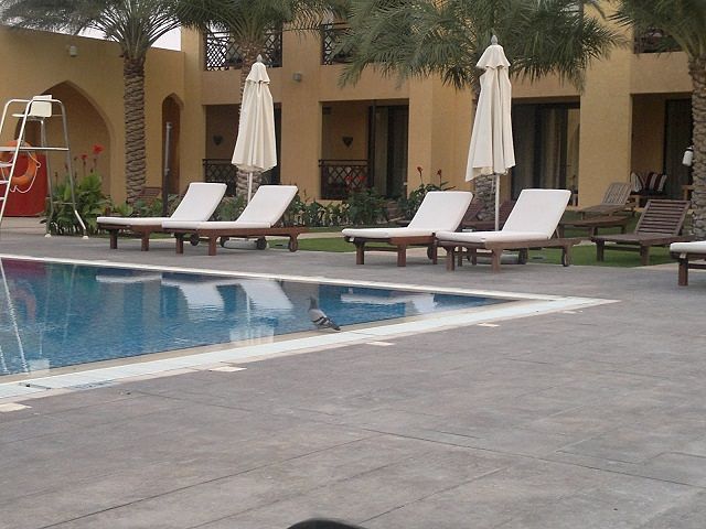 Tilal Liwa Hotel Review - Pool Area