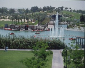 Safa park in Dubai