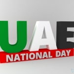 UAE National Day 2014 Dubai