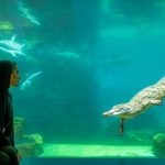 Dubai Crocodile Park Summer Vacation 2024