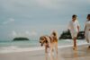Dubai Islands Beach - Pet Friendly Beach in Dubai