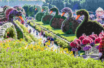 Dubai Miracle Garden