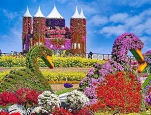 Dubai miracle garden opening months 2024