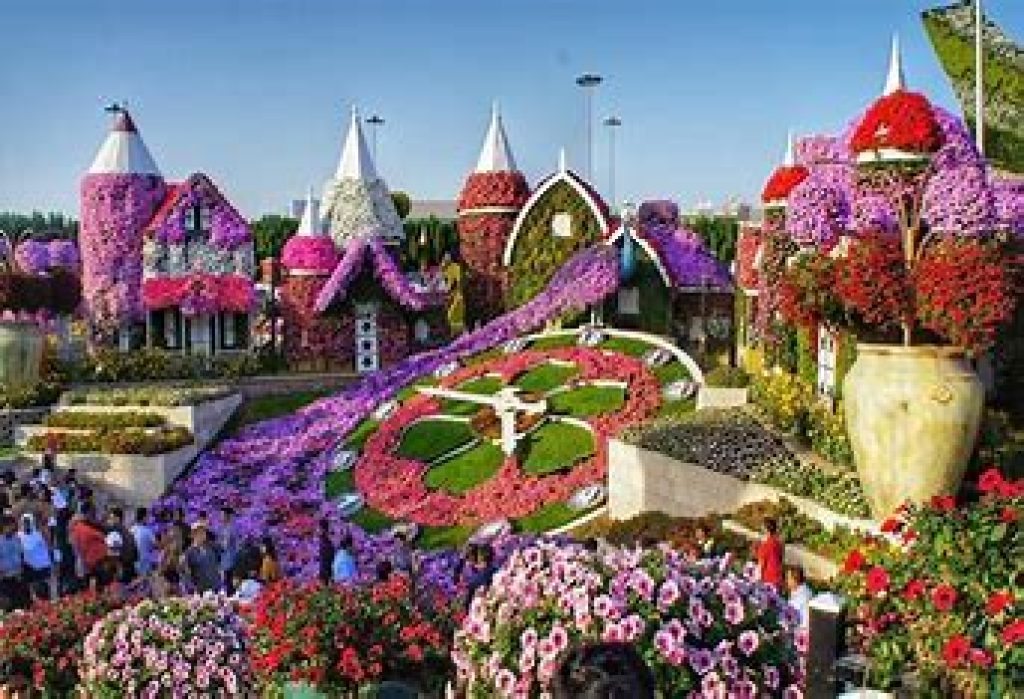 Dubai Miracle Garden Ticket Price And Timings