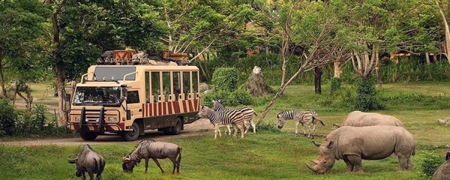Dubai Safari Park Ticket Price 2023 Offers