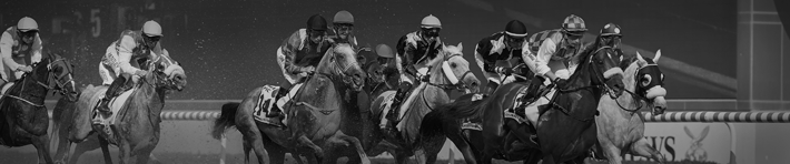 Horse racing excellence awards announcements Dubai 2017 on 23 Mar 2017 at Meydan Grandstand and Racecourse, Nad Al Sheba, Dubai