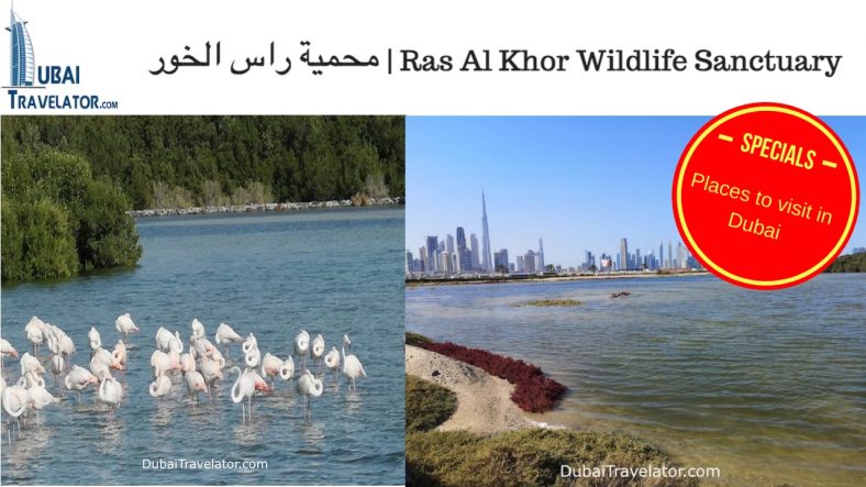 Ras al khor wildlife sanctuary как добраться