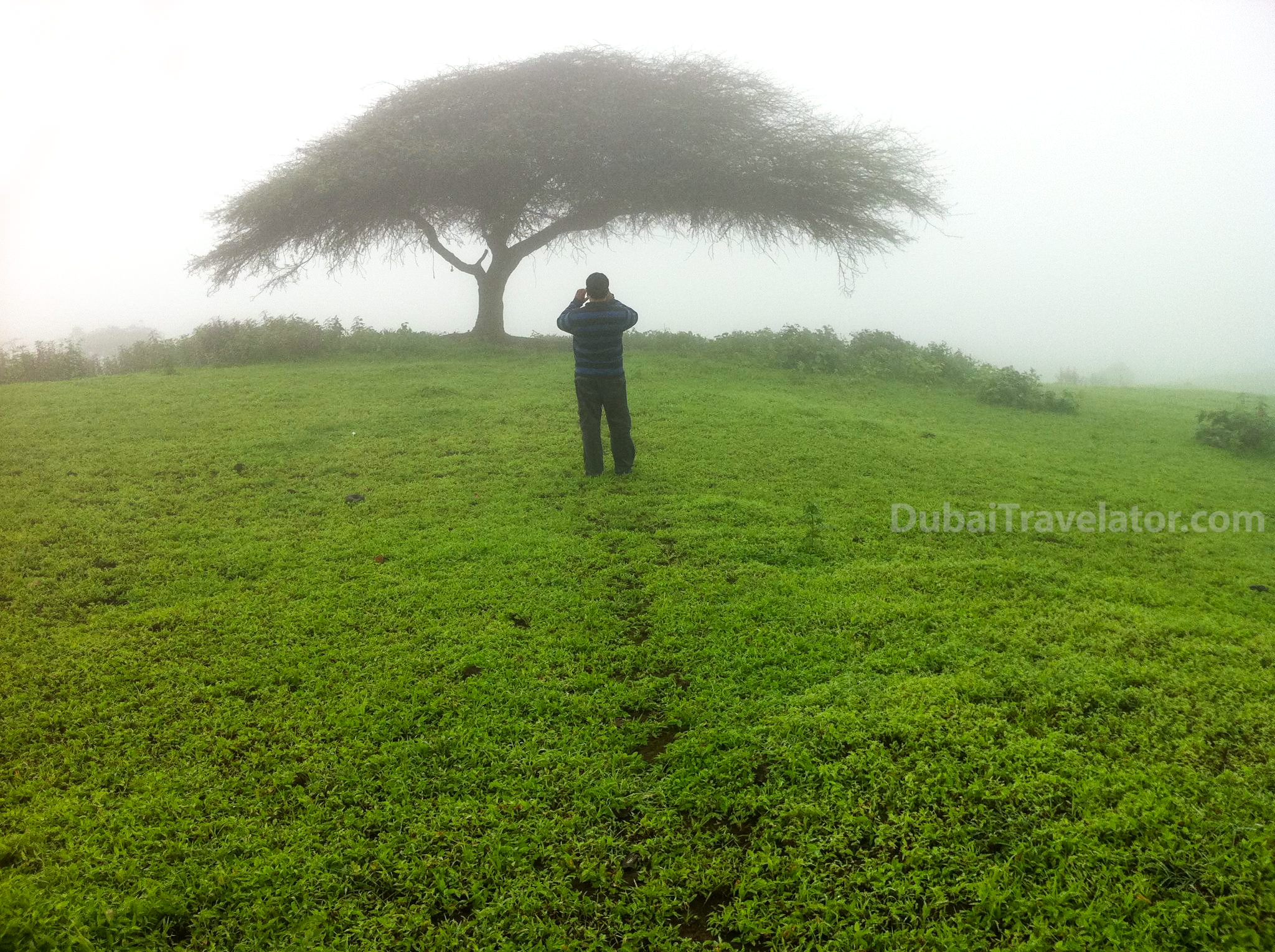 How to go to Salalah from Dubai?