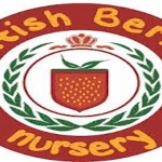 British Berries Nursery in Dubai, UAE