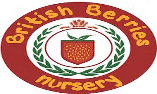 British Berries Nursery in Dubai, UAE