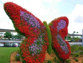 Butterfly Garden in Dubai حديقة الفراشات في دبي