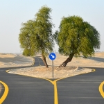 Cycle Track in Dubai - Al Qudra Road Cycle Path in Dubai, UAE