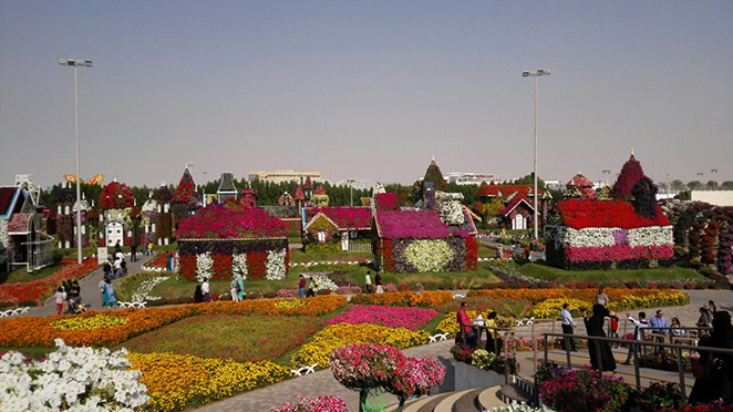 Dubai Miracle Garden – Places to Visit in Dubai