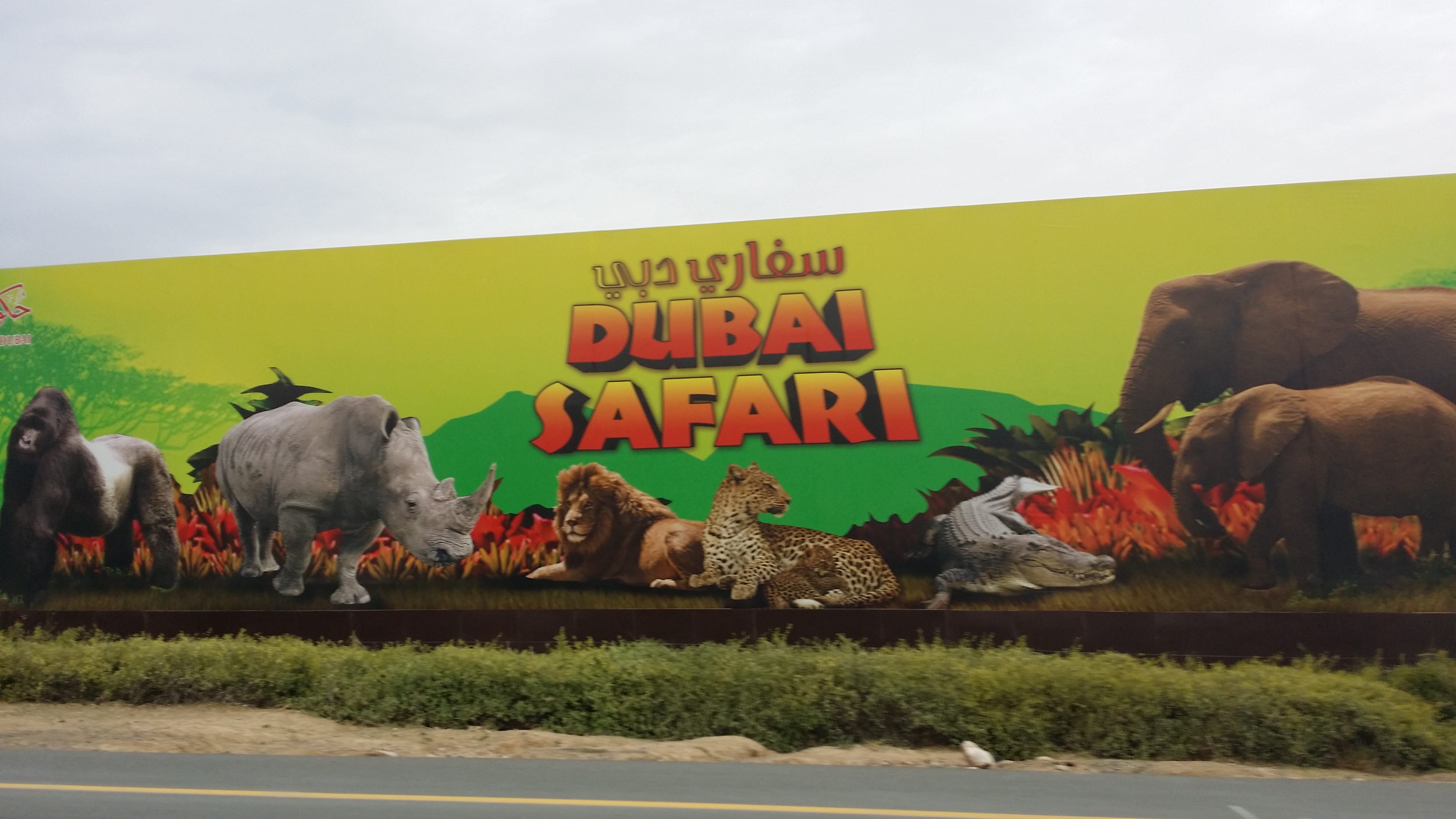 Dubai Safari Park – Al Warqa. Reopened on October 5, 2020.