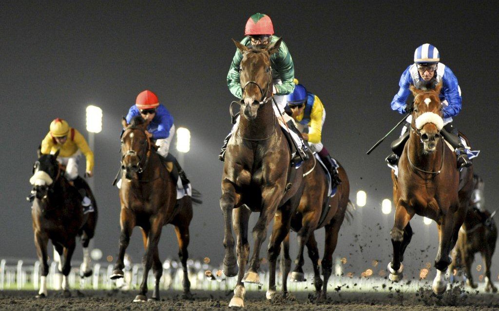 Dubai World Cup Carnival 2014 (DWCC) – Horse Race