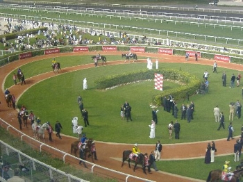 Racing at Meydan Racecourse 2014 Dubai