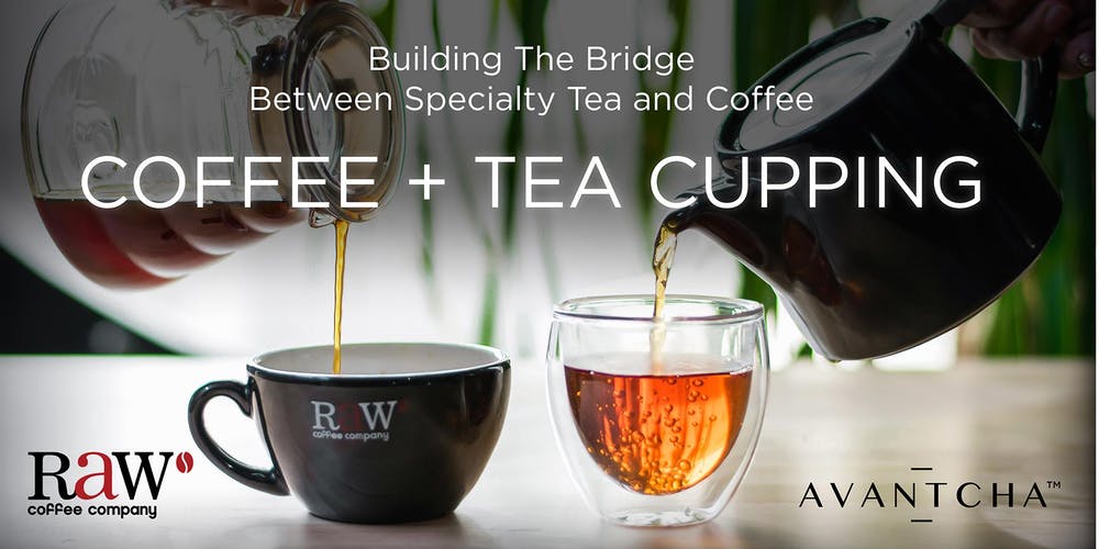 Speciality Tea and Coffee Cupping at AVANTCHA Tea Dubai